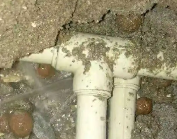 玉泉测漏水多少钱