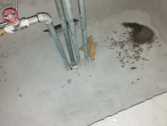 玉泉卫生间测漏水价格明细