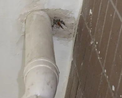 玉泉漏水检测哪家好